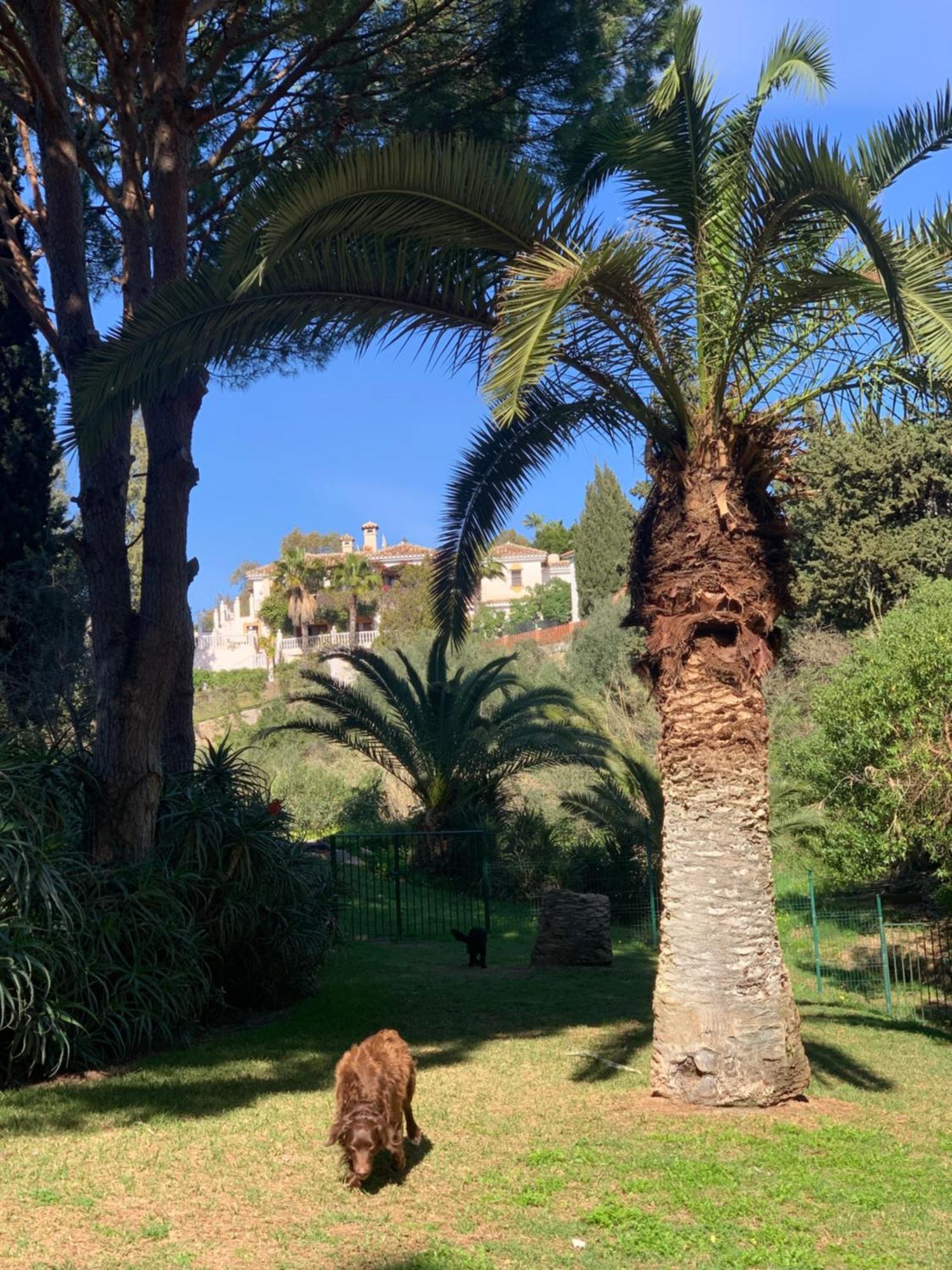 Casa Hermosa Mijas Zewnętrze zdjęcie