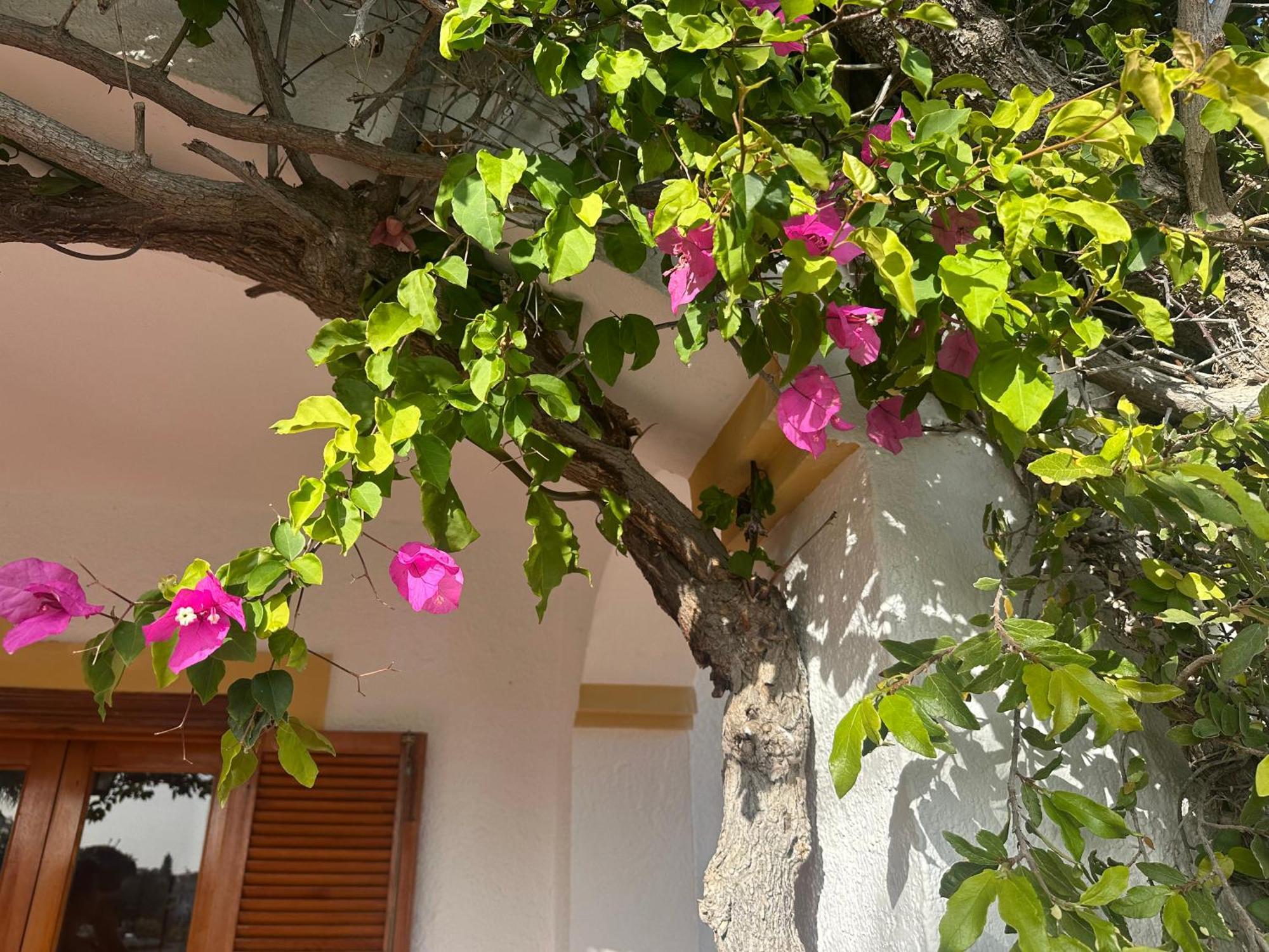 Casa Hermosa Mijas Zewnętrze zdjęcie